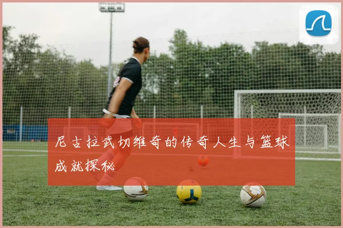 尼古拉武切维奇的传奇人生与篮球成就探秘