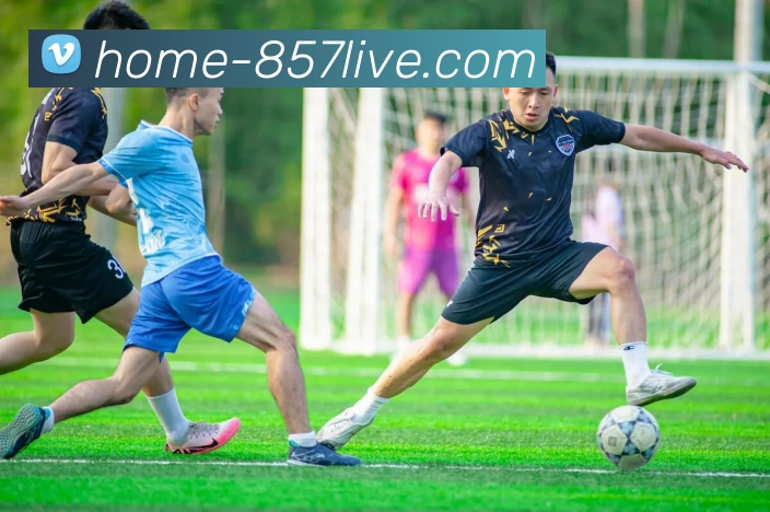 数据防护可视化